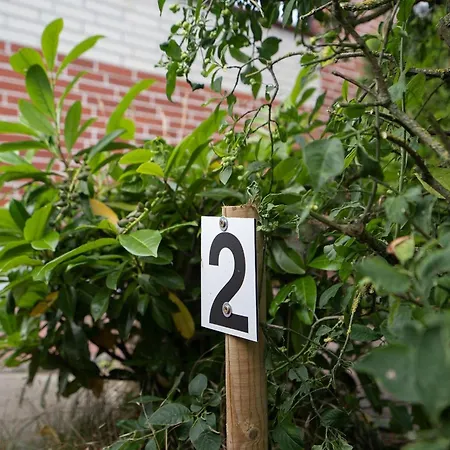 Haus Sonneninsel Sonnenlicht グレーミッツ