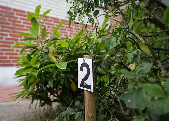 Haus Sonneninsel Sonnenlicht Grömitz